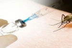 Việt Nam sẽ tham gia tiêm thử nghiệm vắc-xin sốt xuất huyết