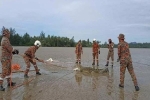 Malaysia: Bắn hạ hàng loạt cá sấu sau khi nhiều người mất tích