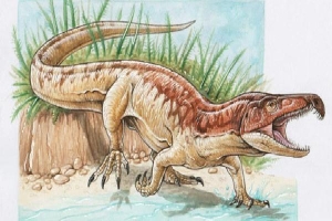 Ấn Độ: Phát hiện 'quái vật Tây Bengal' giống T-rex lai cá sấu