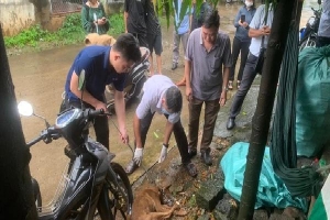 Thêm 2 trẻ em ở Đồng Nai bị chó dại cắn