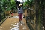 Mưa lớn khiến hơn 800 ngôi nhà ở Quảng Trị bị ngập lụt, nước sông đang lên