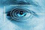 Mống mắt nằm ở vị trí nào, vì sao được thu thập làm dữ liệu căn cước?