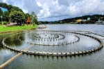 Nhạc nước hồ Xuân Hương sẽ hoạt động lại trước 25-12