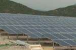 Loạt dự án điện mặt trời ở Bình Thuận 'chiếm dụng đất', khởi công khi Thủ tướng chưa cho phép