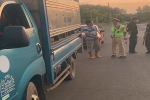 Bình Phước: Phát hiện xe tải chở hơn 1 tấn heo bệnh