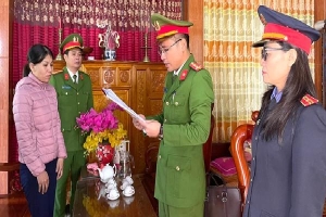 Bắt giam bà Dương Thị Thiếu vì 'tham ô' gần 1 tỉ đồng