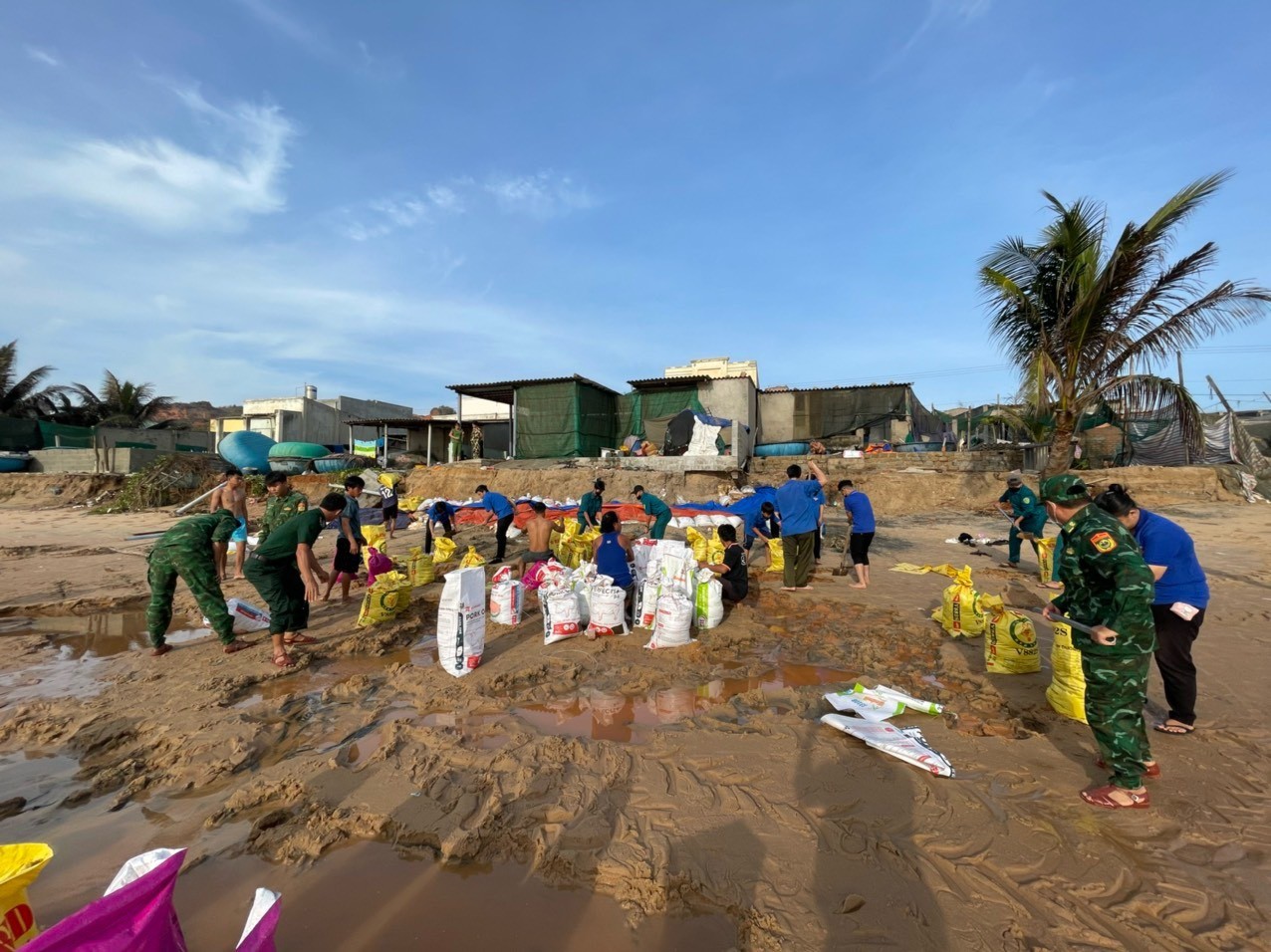 Dân sinh - Bình Thuận: Sạt lở nghiêm trọng bờ biển, ảnh hưởng khoảng 17 hộ dân