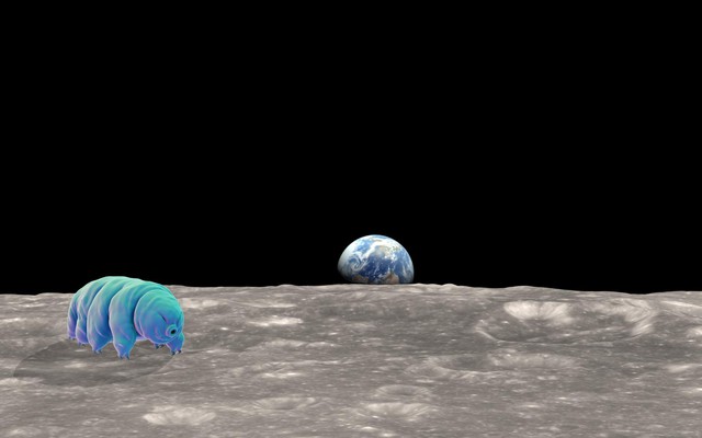 Phát hiện sốc về "quái vật bất tử" có thể đang sống trên Mặt Trăng- Ảnh 1.