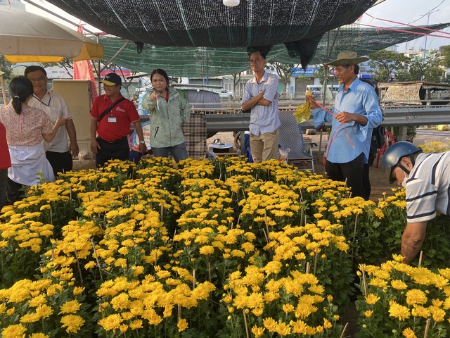Tránh cảnh đập bỏ hoa, TP HCM mua hơn 9.000 chậu hoa Tết của tiểu thương- Ảnh 2.