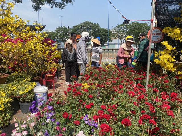 Tránh cảnh đập bỏ hoa, TP HCM mua hơn 9.000 chậu hoa Tết của tiểu thương- Ảnh 3.