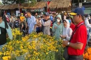 Tránh cảnh đập bỏ hoa, TP HCM mua hơn 9.000 chậu hoa Tết của tiểu thương