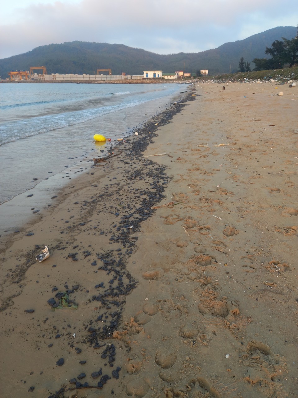 Dân sinh - Phát hiện dầu hắc vón cục dạt trên bờ biển Hà Tĩnh (Hình 2).