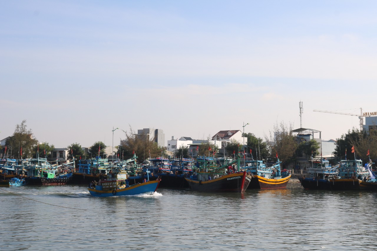 Bình Thuận: Tìm kiếm ngư dân mất tích trong vụ tàu hàng đâm chìm tàu cá
