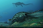 Hóa thạch 228 triệu năm tiết lộ tổ tiên của loài rùa