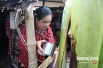 Quái gở chuyện hàng đoàn người vái lạy cây chuối khổng lồ ở Trà Vinh