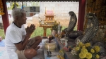 Rắn hổ mang Thái Lan: Vừa được tôn thờ, vừa là đặc sản